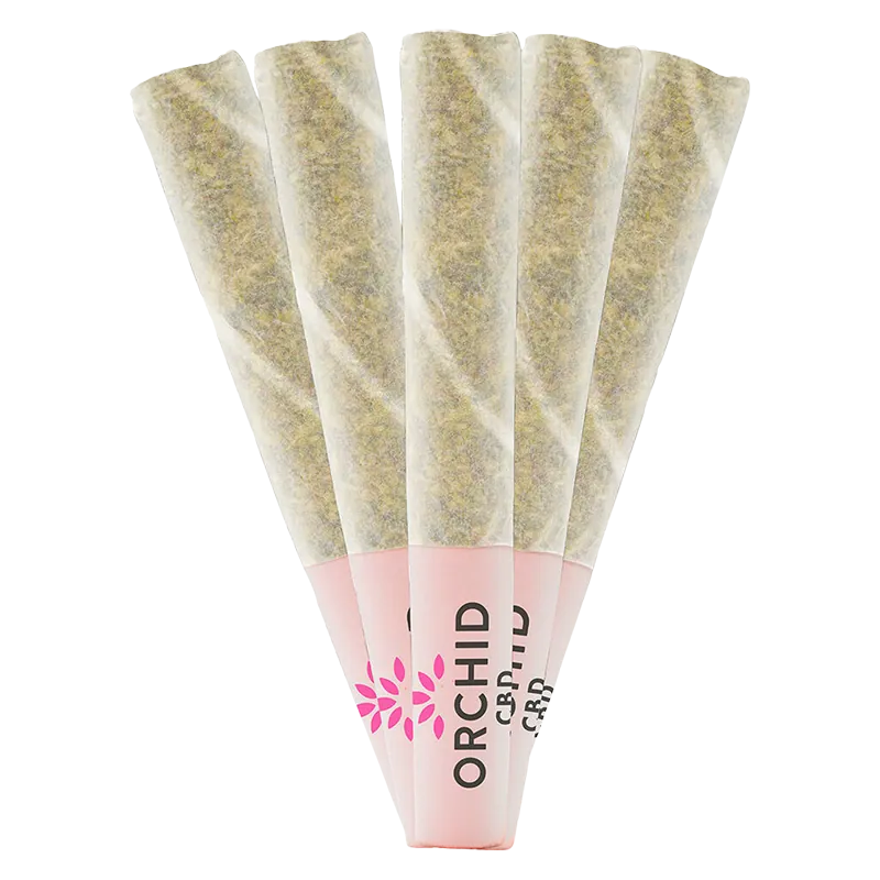 Orchid CBD 2.5 g CBD Rntz PR 5 x 0.5 g Pre-Rolls