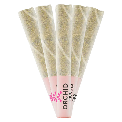 Orchid CBD 2.5 g CBD Rntz PR 5 x 0.5 g Pre-Rolls