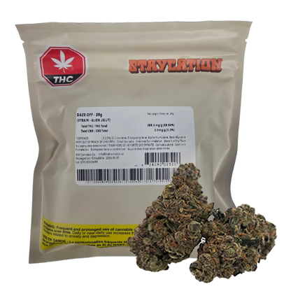 Staycation 28 g Daze Off Flower