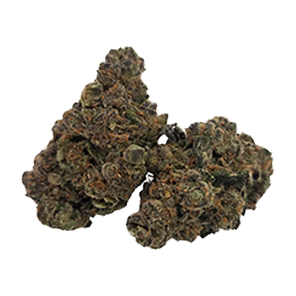Staycation 28 g Daze Off Flower