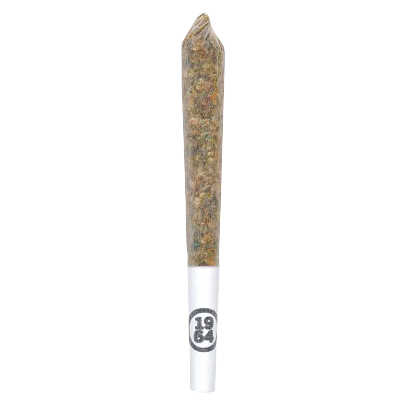 1964 2.5 g Tropicanna PR 5 x 0.5 g Pre-Rolls