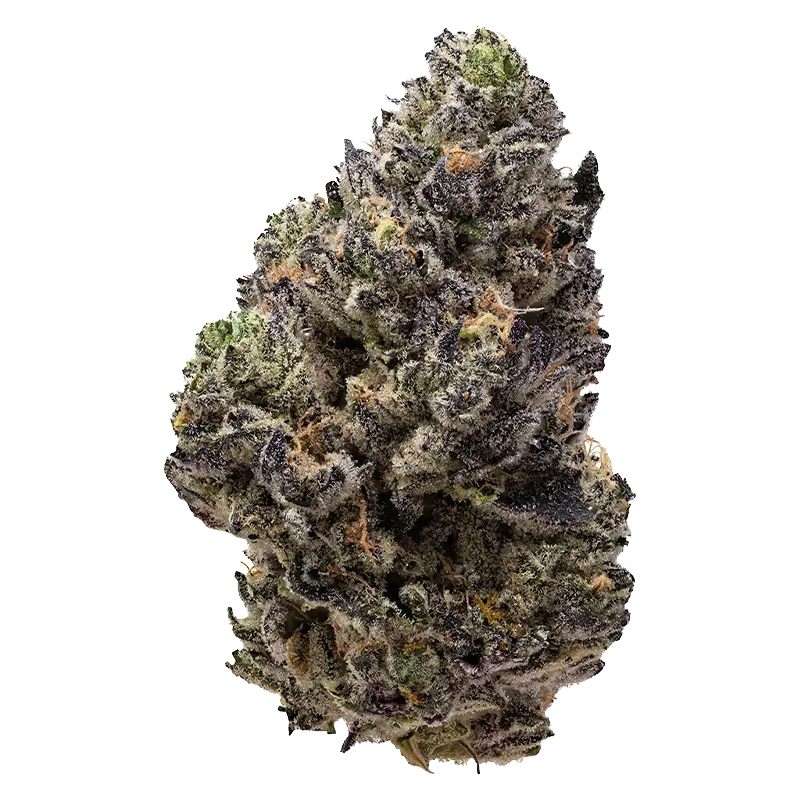 Pistol and Paris 7 g Permanent Chapo Flower
