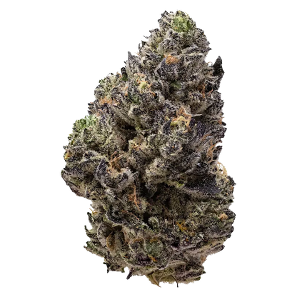 Pistol and Paris 7 g Permanent Chapo Flower