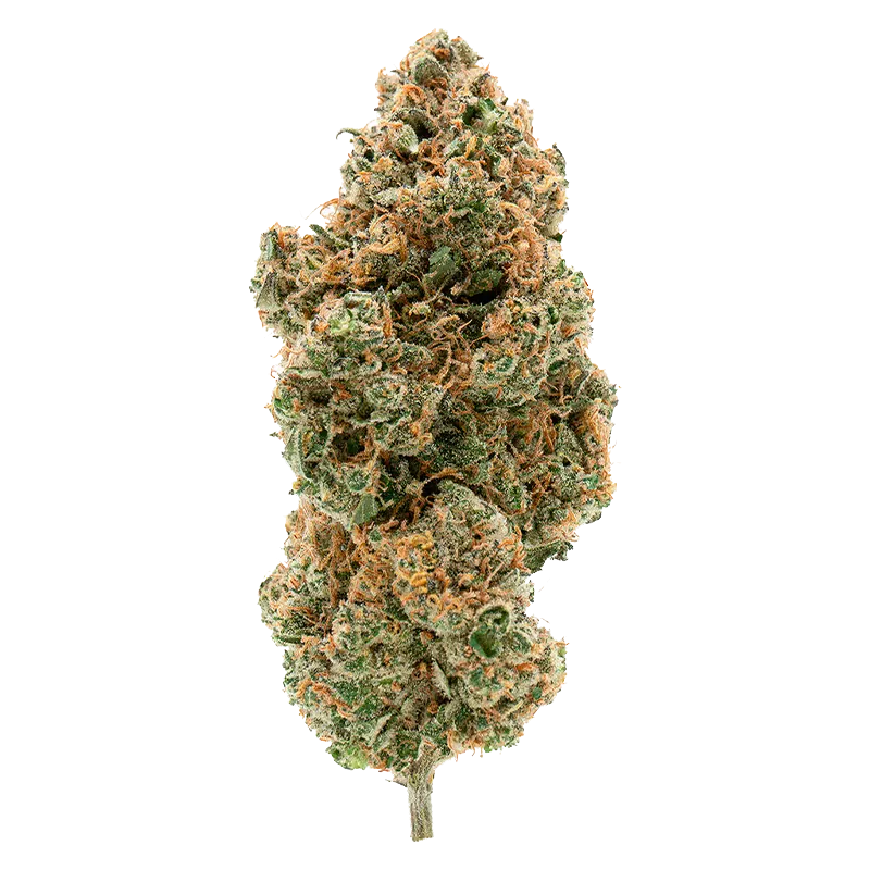 Simply Bare Organic 3.5 g BC Organic Tangerine Sunrise Flower