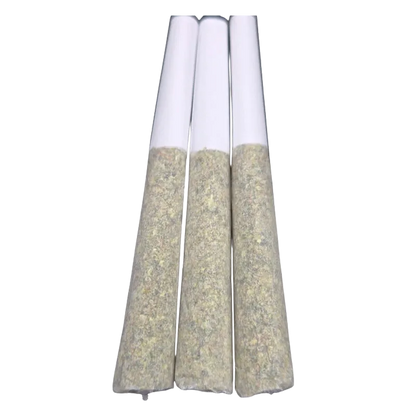 Shucanna 1.5 g Shucanna Georgia Pie PR 3 x 0.5 g Pre-Rolls