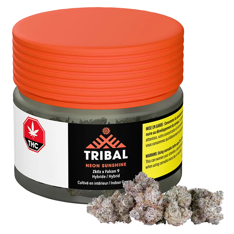 Tribal 14 g Neon Sunshine Flower