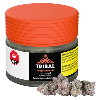 Tribal 14 g Neon Sunshine Flower