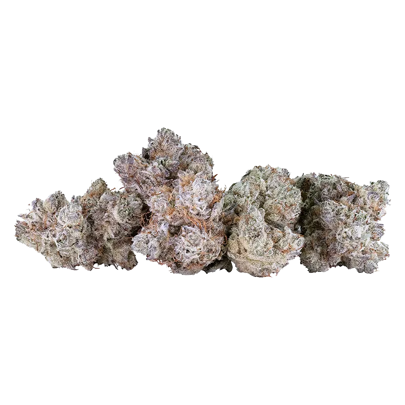 Tribal 14 g Neon Sunshine Flower