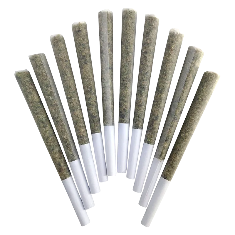 BC Doobies 5 g Blue Maui PR 10 x 0.5 g Pre-Rolls