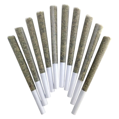 BC Doobies 5 g Blue Maui PR 10 x 0.5 g Pre-Rolls
