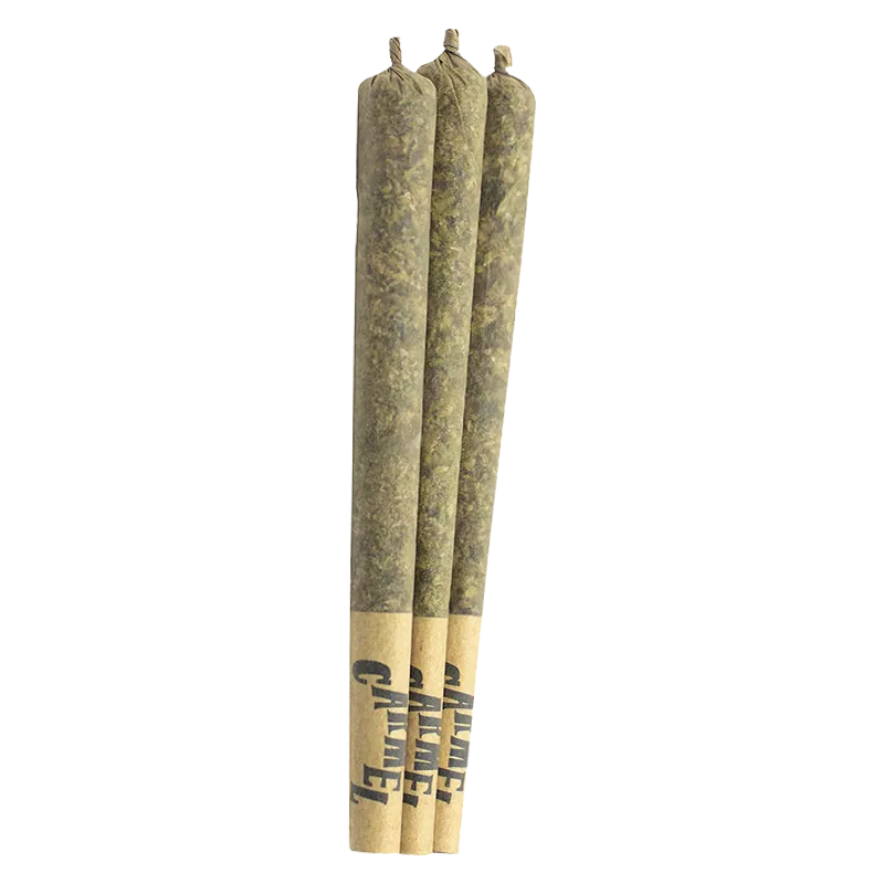 Carmel 1.5 g Sherbadough PR 3 x 0.5 g Pre-Rolls