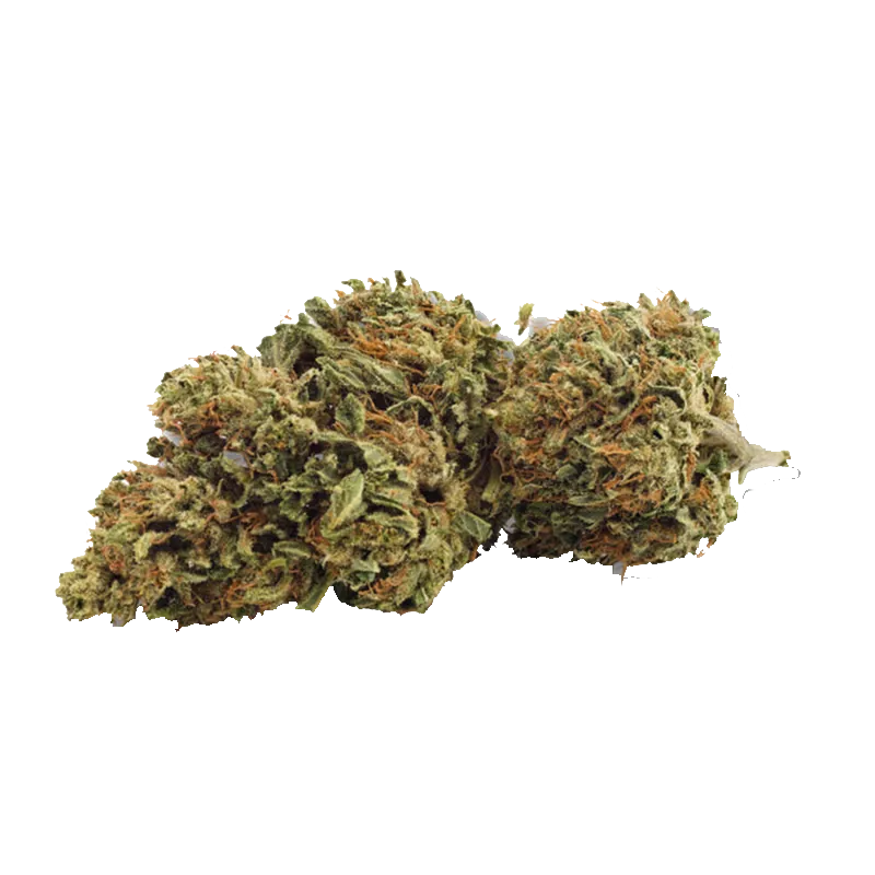 Grown Here Farms 7 g Day Dreamin' Infused CBD Flower Flower