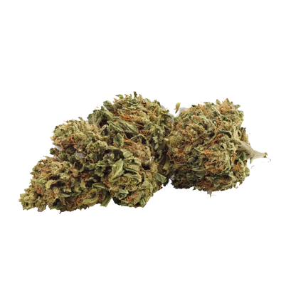 Grown Here Farms 7 g Day Dreamin' Infused CBD Flower Flower