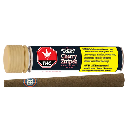 Broken Coast 1 g Cherry Ztripez PR 1 x 1 g Pre-Rolls