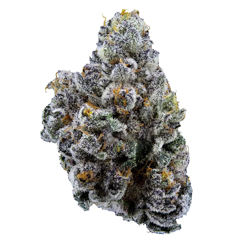 Sweetgrass Organic Cannabis 14 g Limelight Flower Petites Flower
