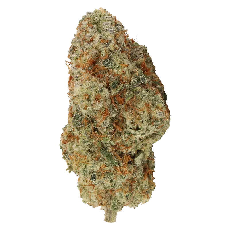 Carmel 3.5 g Myrtle Beach Flower