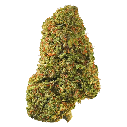 Tropicanna