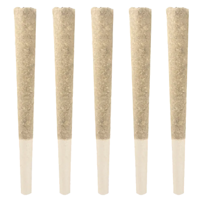Gas Pack PR 5 x 0.5 g