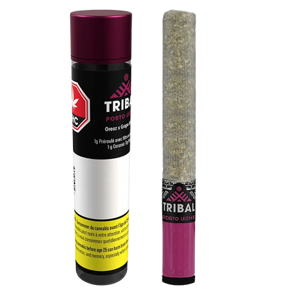 Tribal 1 g Porto Leche Ceramic Tip PR 1 x 1 g Pre-Rolls
