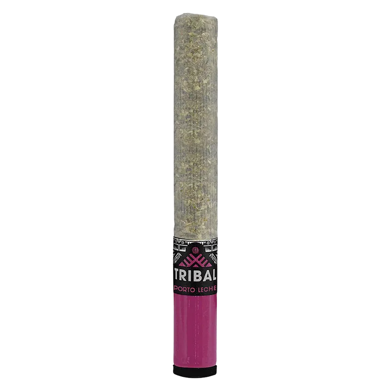 Tribal 1 g Porto Leche Ceramic Tip PR 1 x 1 g Pre-Rolls