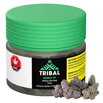 Tribal 14 g Bubble Up Flower