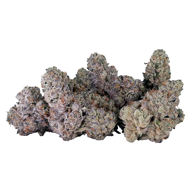 Tribal 14 g Bubble Up Flower