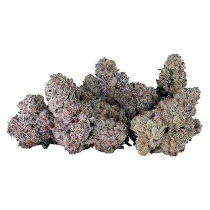 Tribal 14 g Bubble Up Flower