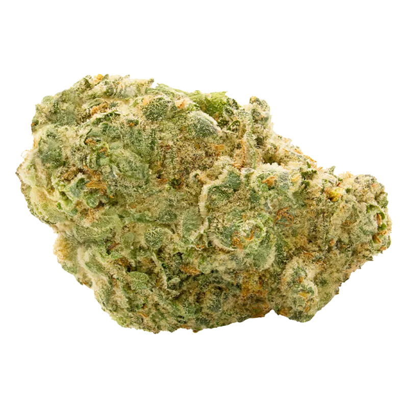 Spinach 3.5 g West Coast Cookies Flower