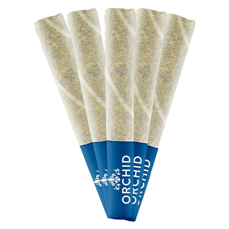 Orchid CBD 2.5 g Jean Guy CBD PR 5 x 0.5 g Pre-Rolls