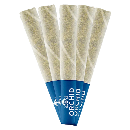 Orchid CBD 2.5 g Jean Guy CBD PR 5 x 0.5 g Pre-Rolls