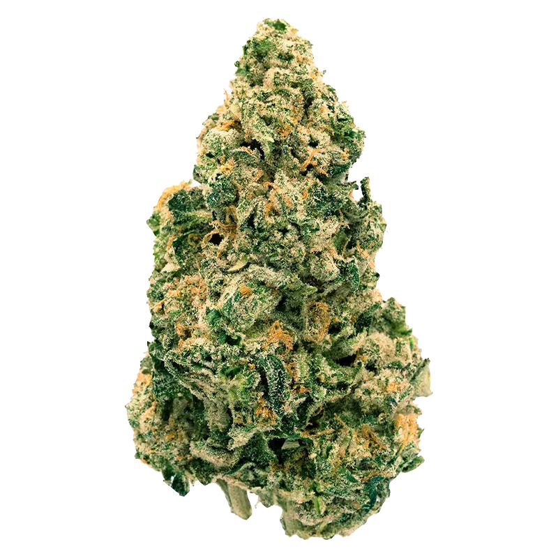 Back Forty 28 g Galactic Jack Flower
