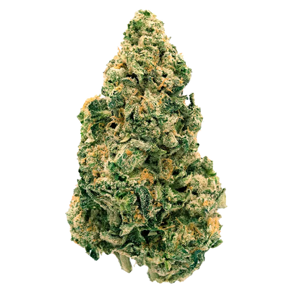 Back Forty 28 g Galactic Jack Flower