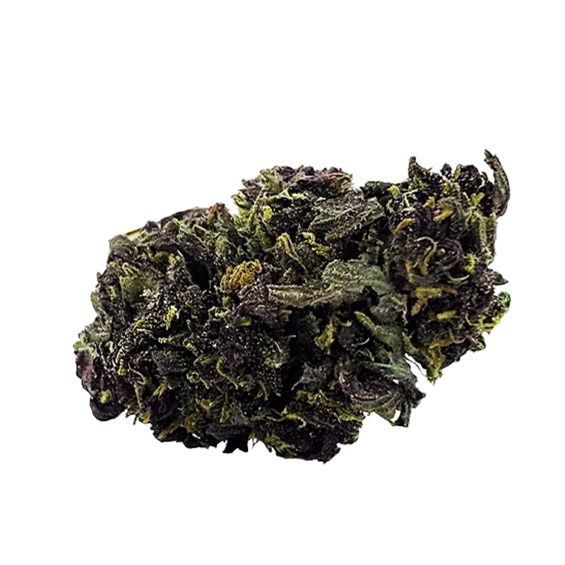 Canadian Cannabis 28 g Organic Sugar Haze Flower