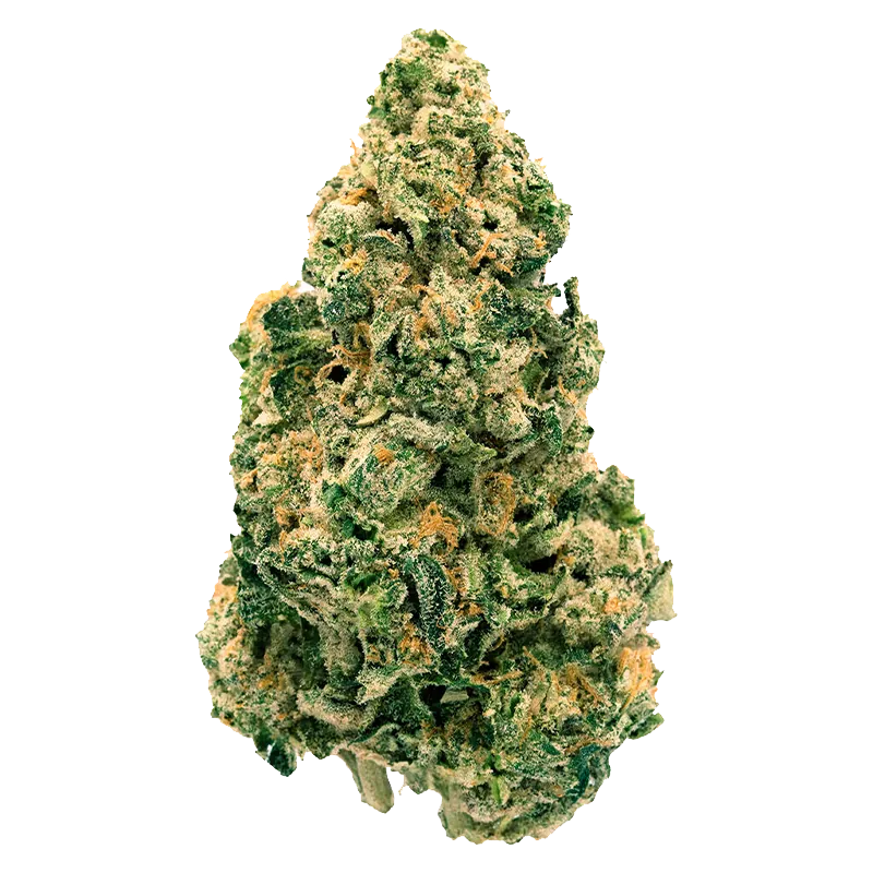 Back Forty 7 g Galactic Jack Flower