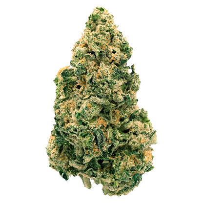 Back Forty 7 g Galactic Jack Flower