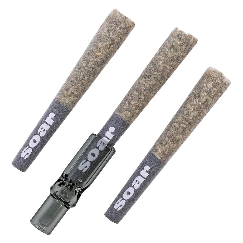 Soar 1.5 g C99 Haze PR 3 x 0.5 g Pre-Rolls