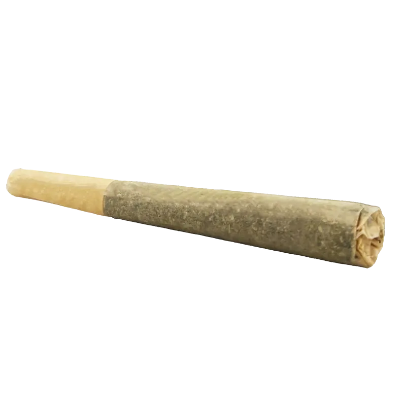 Canadian Cannabis 0.5 g Sugar Haze PR 1 x 0.5 g Pre-Rolls