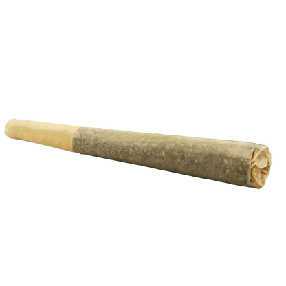 Canadian Cannabis 0.5 g Sugar Haze PR 1 x 0.5 g Pre-Rolls