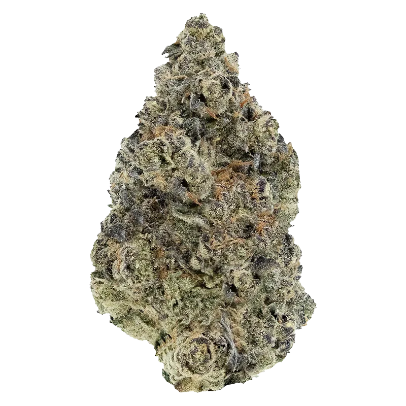 Woody Nelson 3.5 g Sunset Sherbet Craft Flower