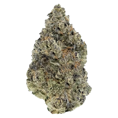 Woody Nelson 3.5 g Sunset Sherbet Craft Flower