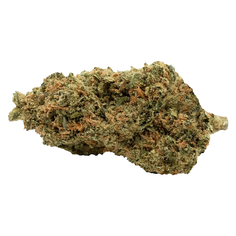 Soar 7 g C99 Haze Flower