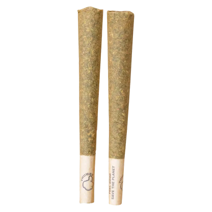 Thumbs Up 2 g Hybrid PR 2 x 1 g Pre-Rolls