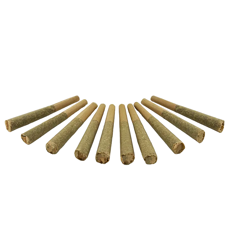 Canadian Cannabis 5 g Sativa Eh! PR 10 x 0.5 g Joints