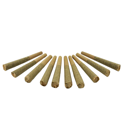 Canadian Cannabis 5 g Sativa Eh! PR 10 x 0.5 g Joints