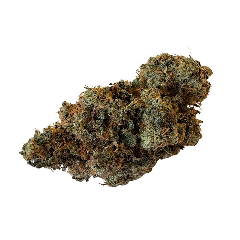 Bold 7 g Sherbert Cookies Whole Flower