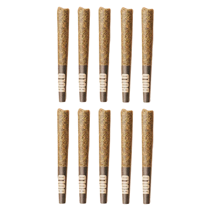 Bold 5 g Orange Crush PR 10 x 0.5 g Pre-Rolls
