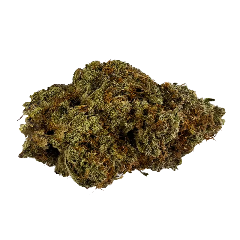 Virtue Cannabis 28 g Champagne Supernova Flower