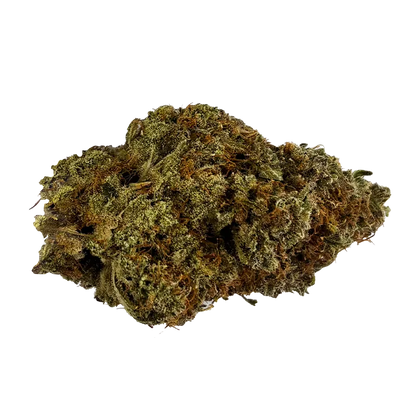 Virtue Cannabis 28 g Champagne Supernova Flower