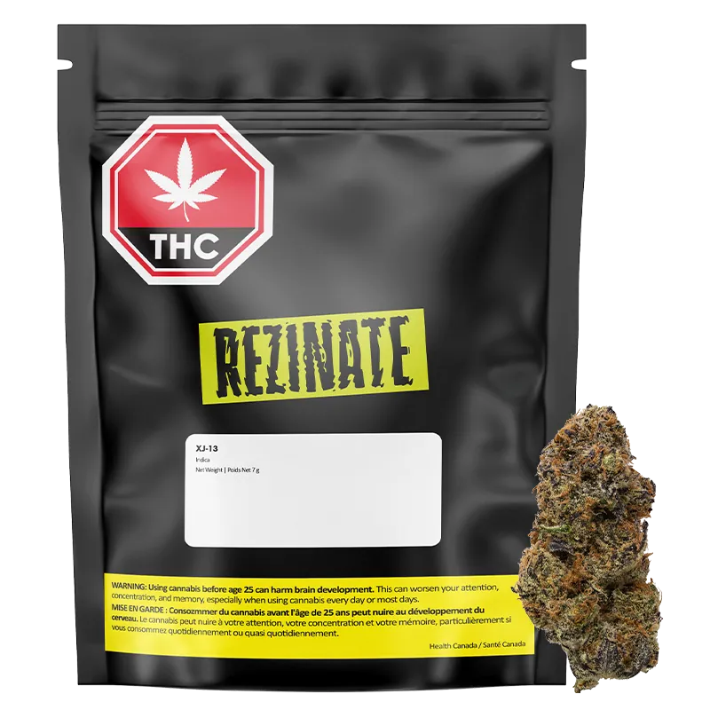XJ 13: Lowest Price | Canna Cabana