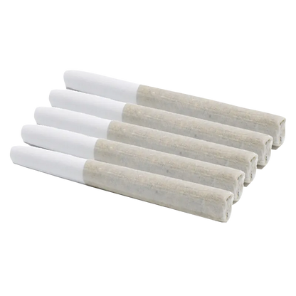 GAS 2.5 g Night Kush PR 5 x 0.5 g Pre-Rolls